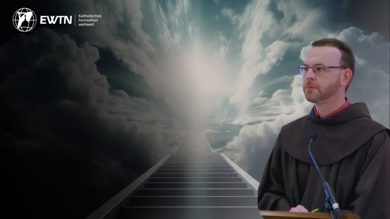 LIVE: 7über7 mit Prof. P. DDr. habil. Dominikus Kraschl OFM